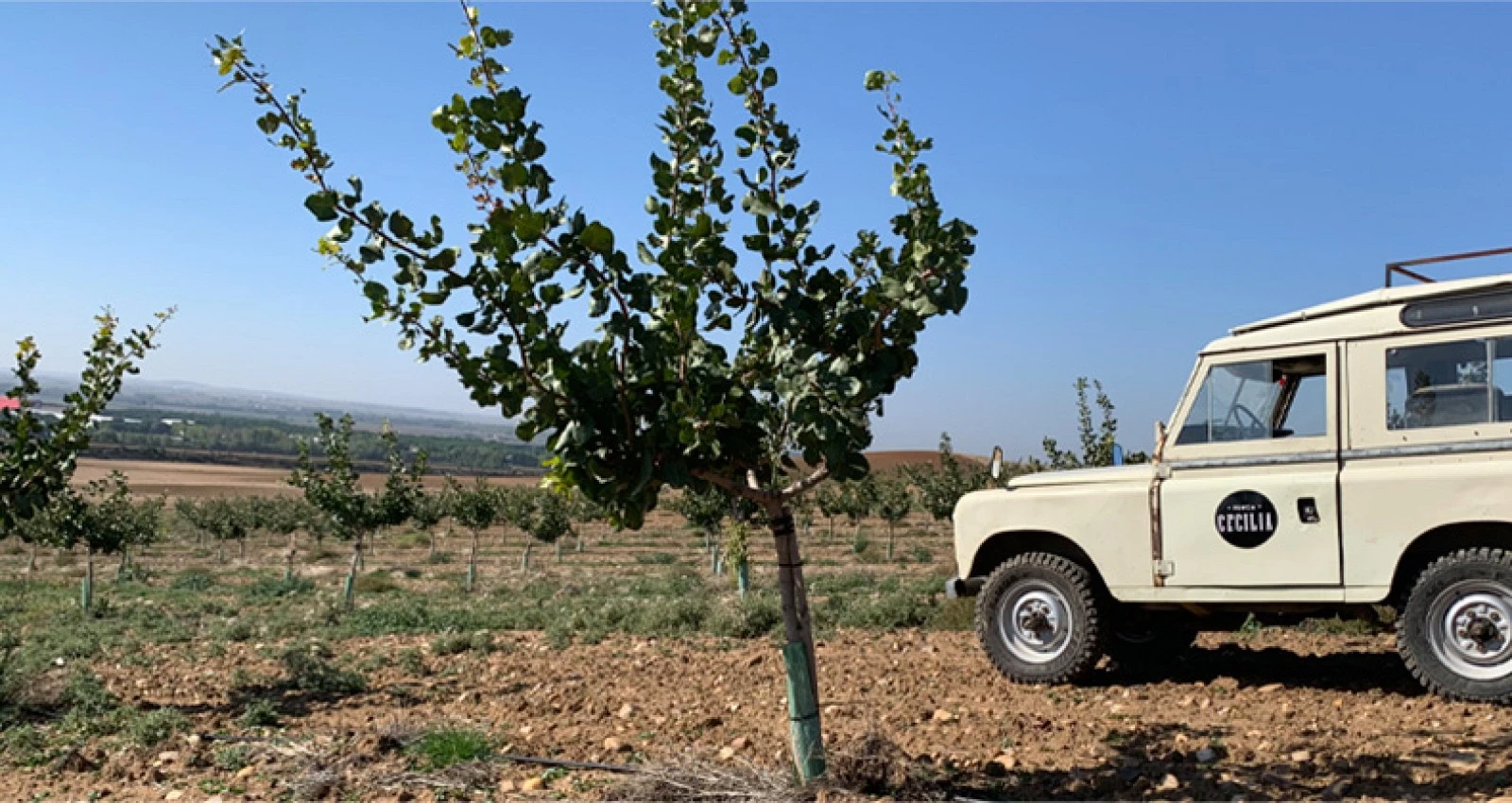 Compra directa al agricultor