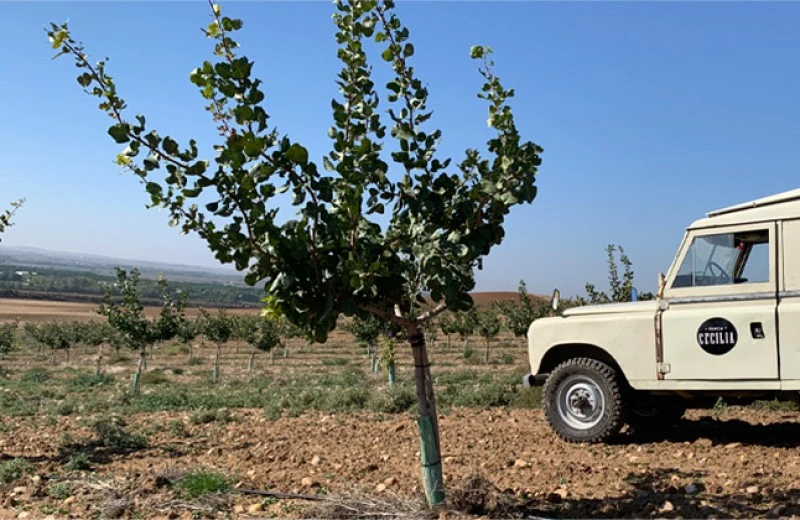 Compra directa al agricultor